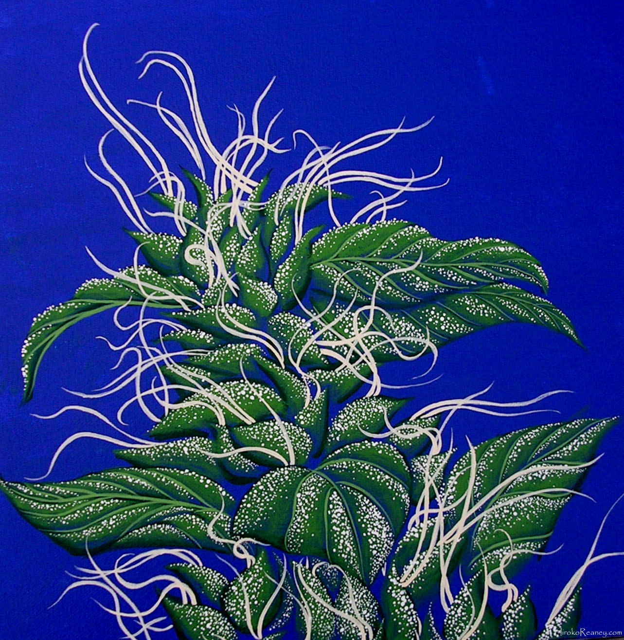 Hiroko Reaney - Featured Marijuana Artist - Stoners Artwork1283 x 1315