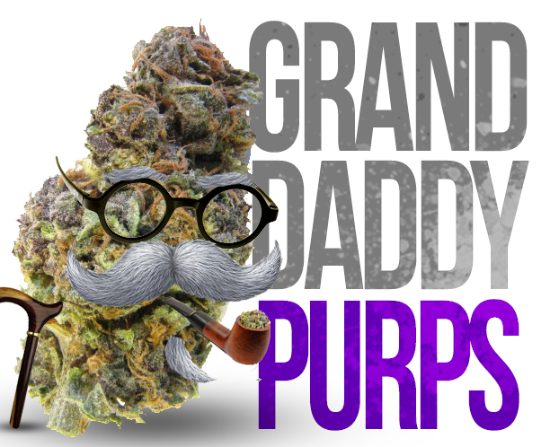 Granddaddy Purple - Marijuana Reviews - Stoner Images