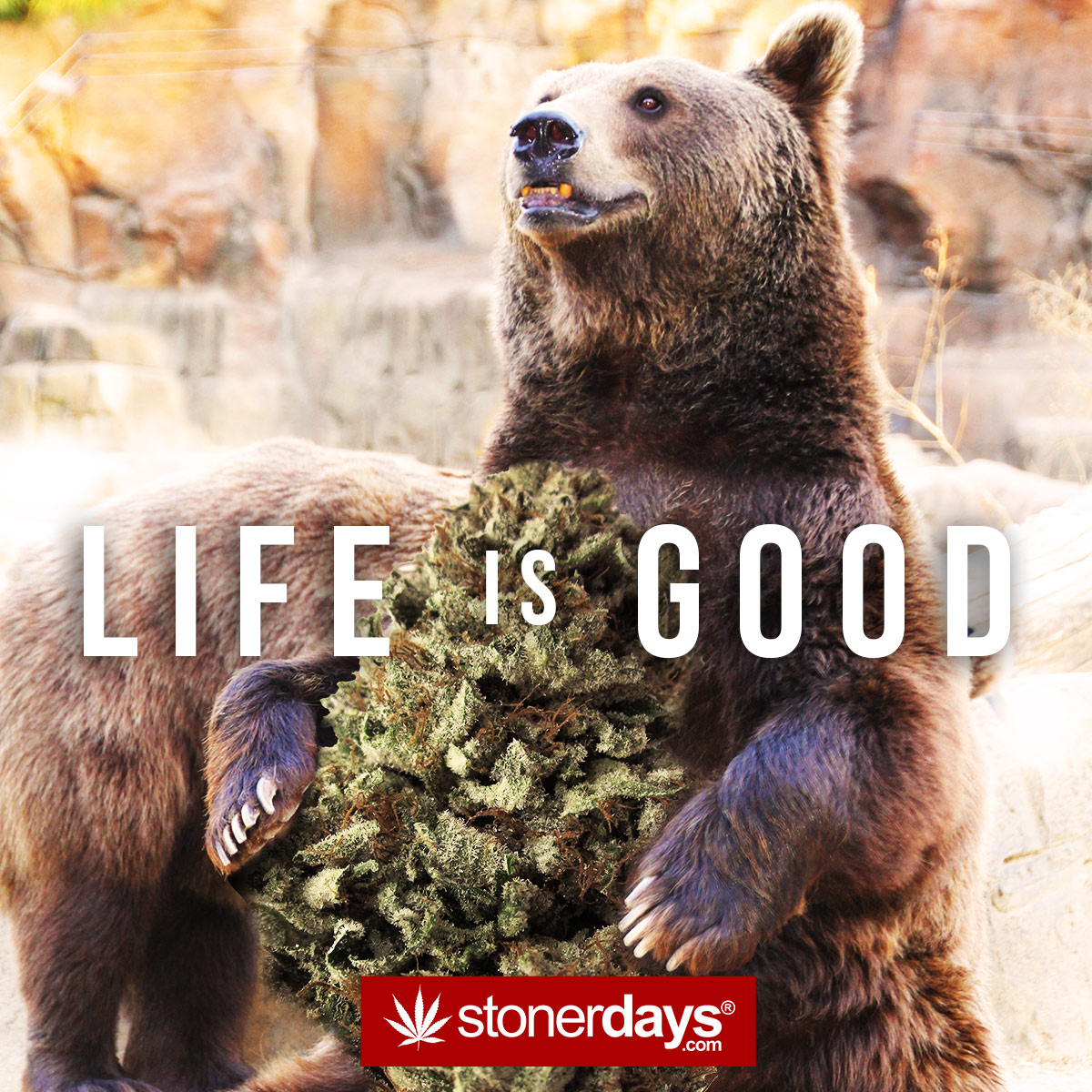 Mobile Wallpaper for Stoners | Stoner Pictures | Stoner Blog