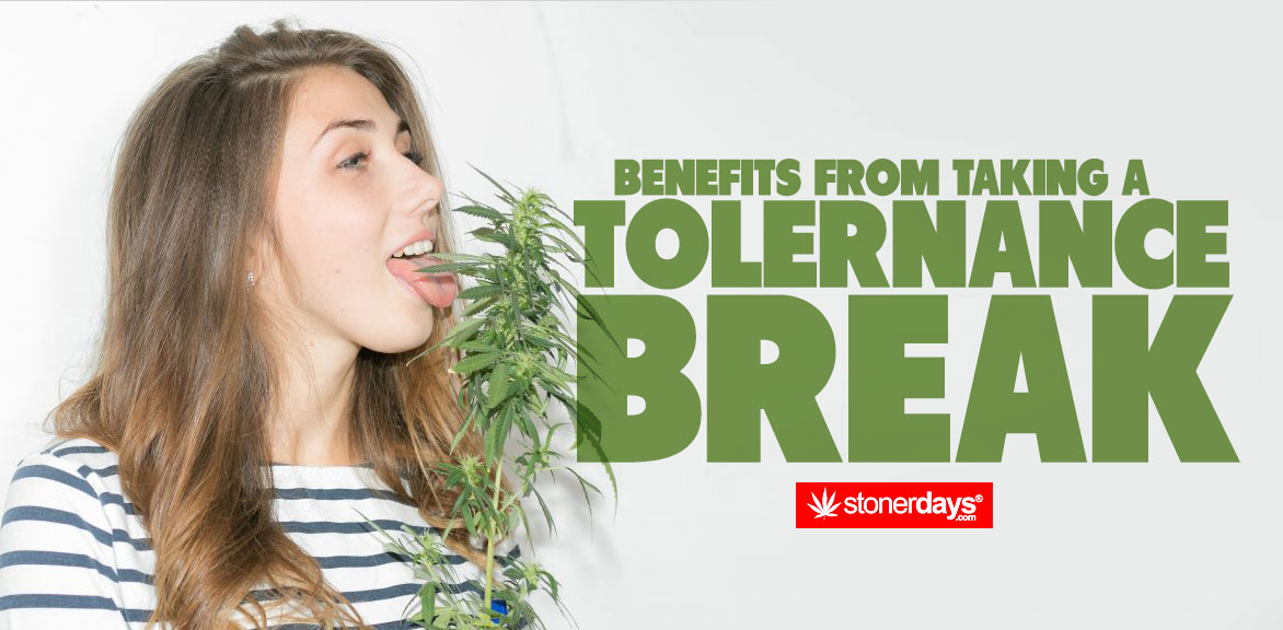 Benefits From Taking A Tolerance Break Featured Stoner Blog