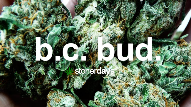 Stoner Dictionary