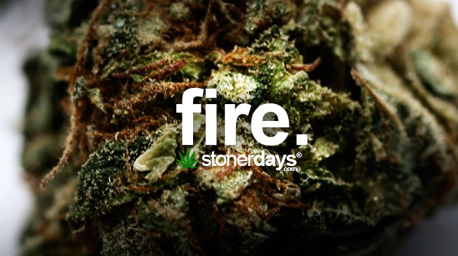 Fire - StonerDays | Marijuana Blog | Stoner Dictionary