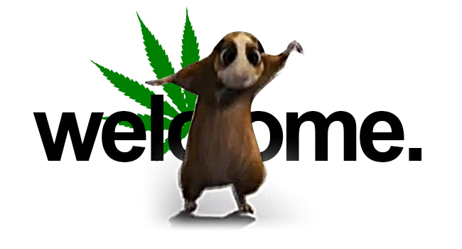 welcome to stoner days