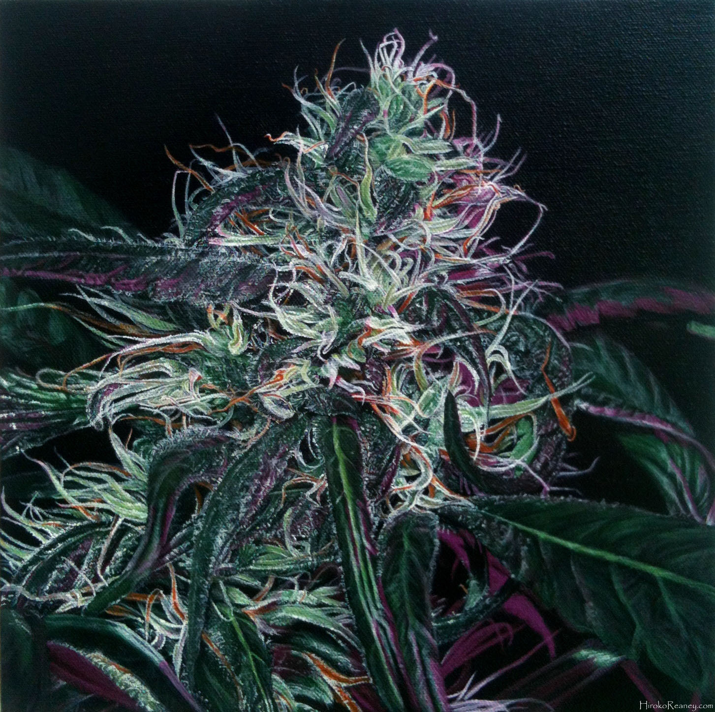 Hiroko Reaney - Featured Marijuana Artist - Stoners Artwork