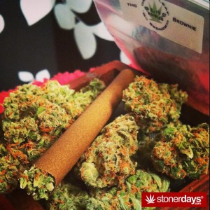 Mary Jane Wake N Bake Stoner Pictures - Daily Updates - Stoned Pics