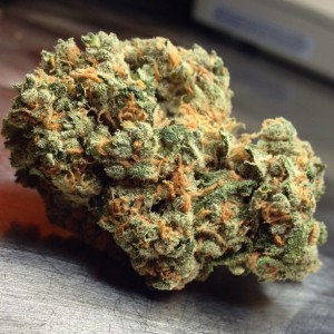 Green Crack | Marijuana Strain Review | Stoner Blog