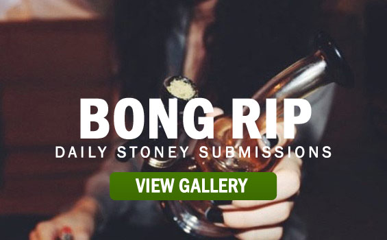 STONER-BONG-RIP