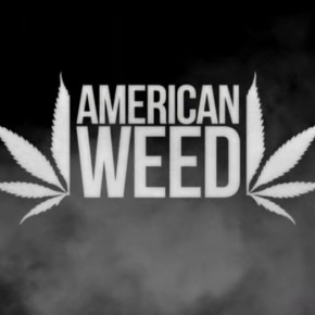 american-weed-smoke