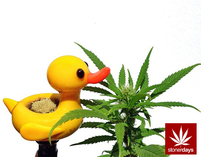 Marijuana-sexy-stoner-nefairyus-(8)