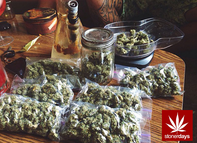 Marijuana-sexy-stoner-stonerdays-Lyndaisyy-(9)