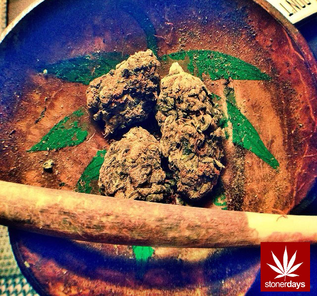 Marijuana-sexy-stoner-stonerdays-dope_girls_fun-(2)