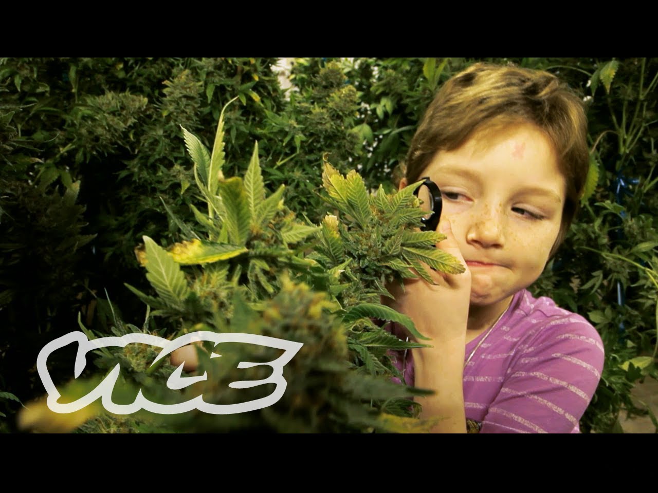 Дети марихуана когда садить семена конопляные