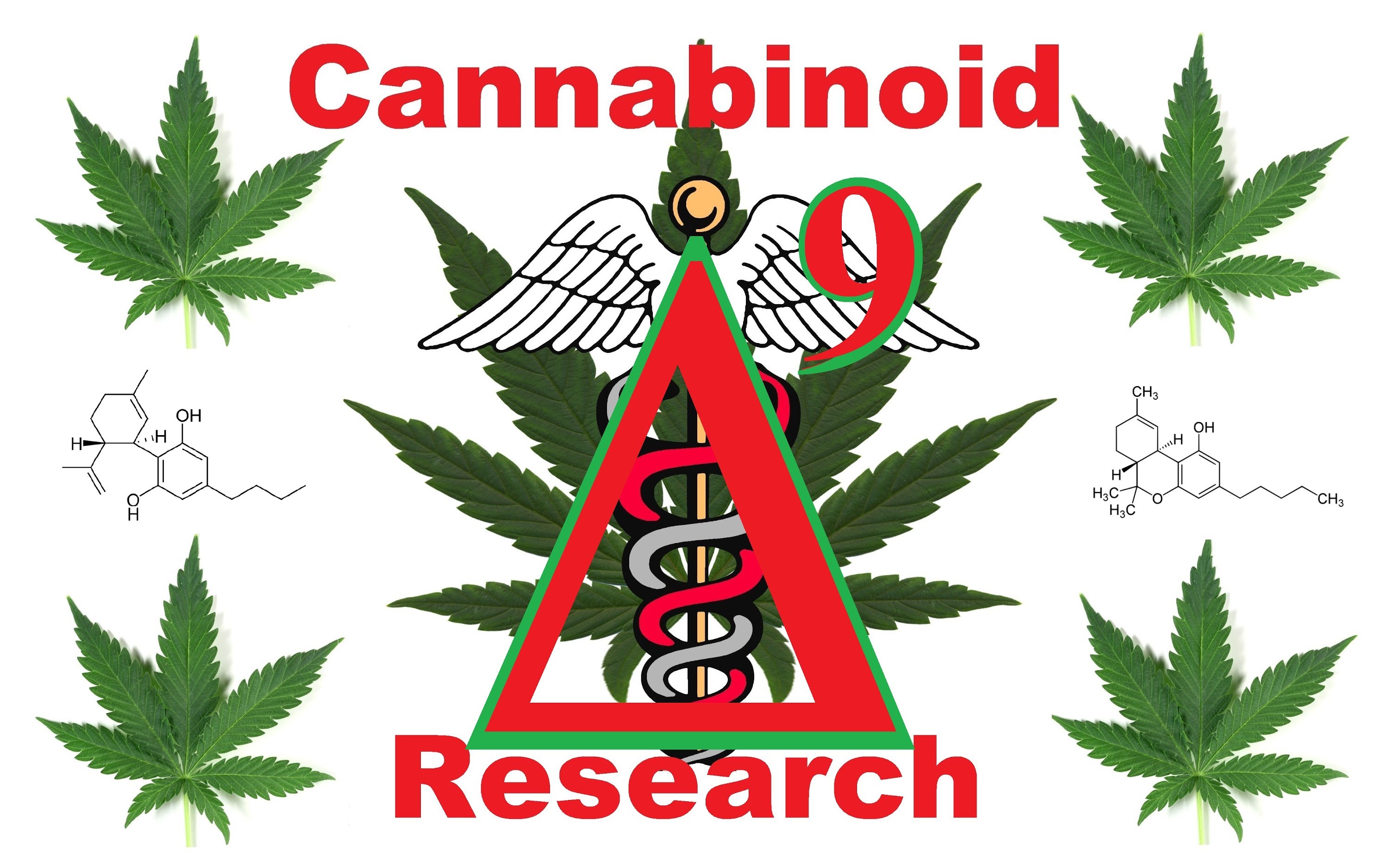 Real Facts About The Cannabinoids In Cannabis