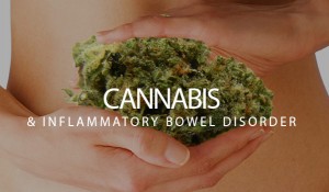 Cannabis And Inflammatory Bowel Disorder | Stoner Guide