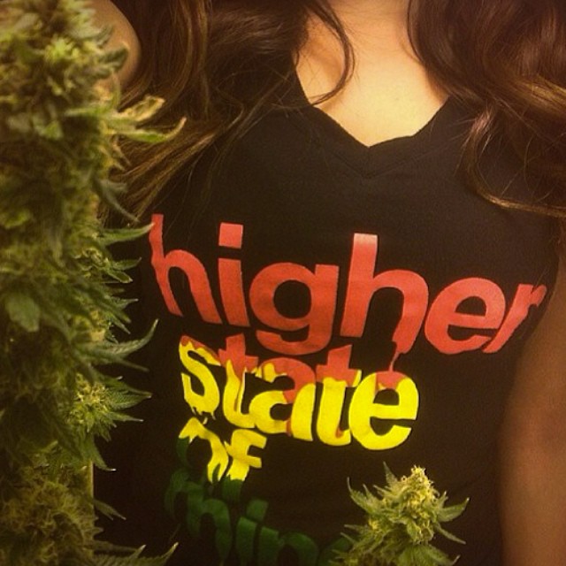 @pincheflowerway