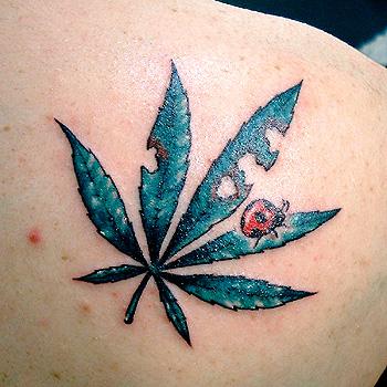 84+ Free Download Tattoo Design Weed HD Tattoo Photos