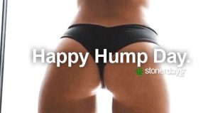 Hump Day Ass