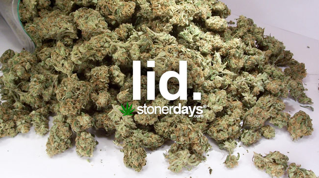 Stoner Dictionary - Lid | Stoner Days