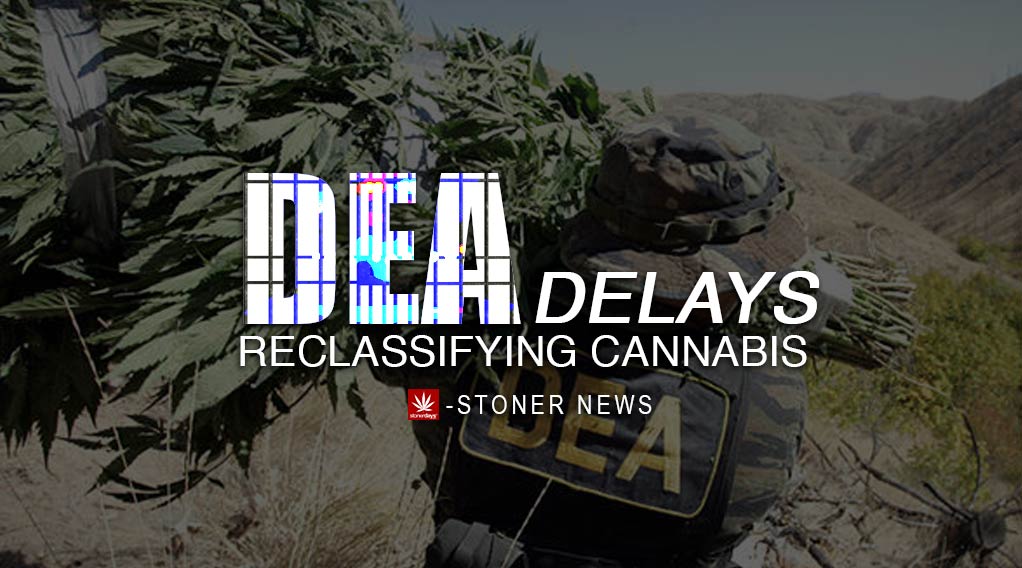 DEA Delays Reclassifying Cannabis | Stoner News