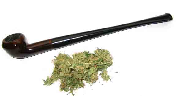 Combusted dried flower, or buds, have been used by weed lovers for centuries