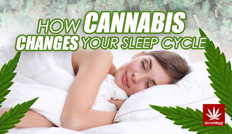 How Cannabis Changes Your Sleep Cycle • Featured, Stoner Guide