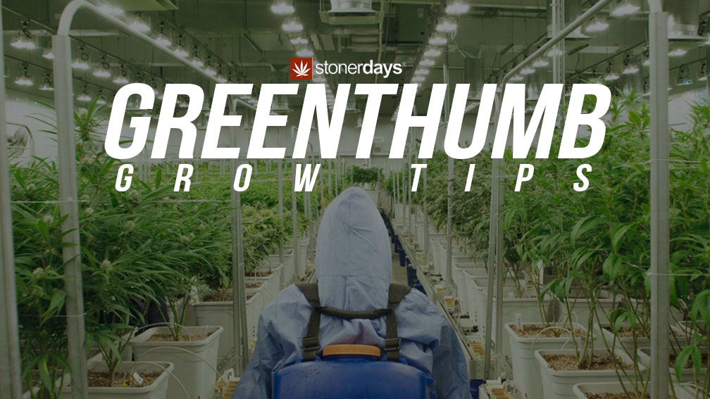 greenthumb-grow-tips