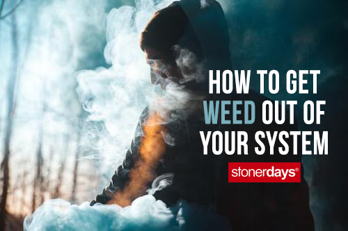 How to get weed out of your system