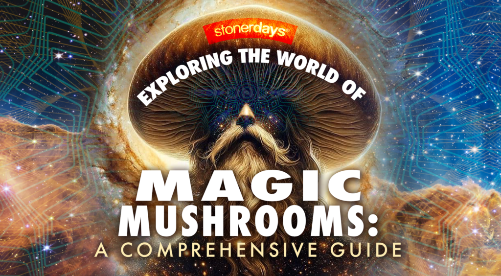 Exploring the World of Magic Mushrooms A Comprehensive Guide • Blogs