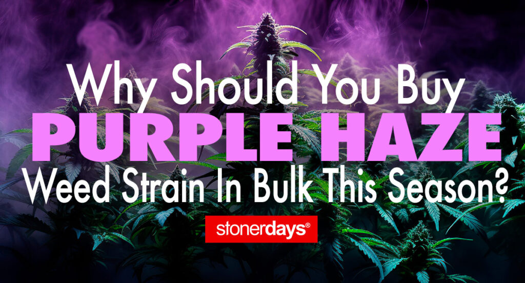 Weed Strain In Bulk This Season?