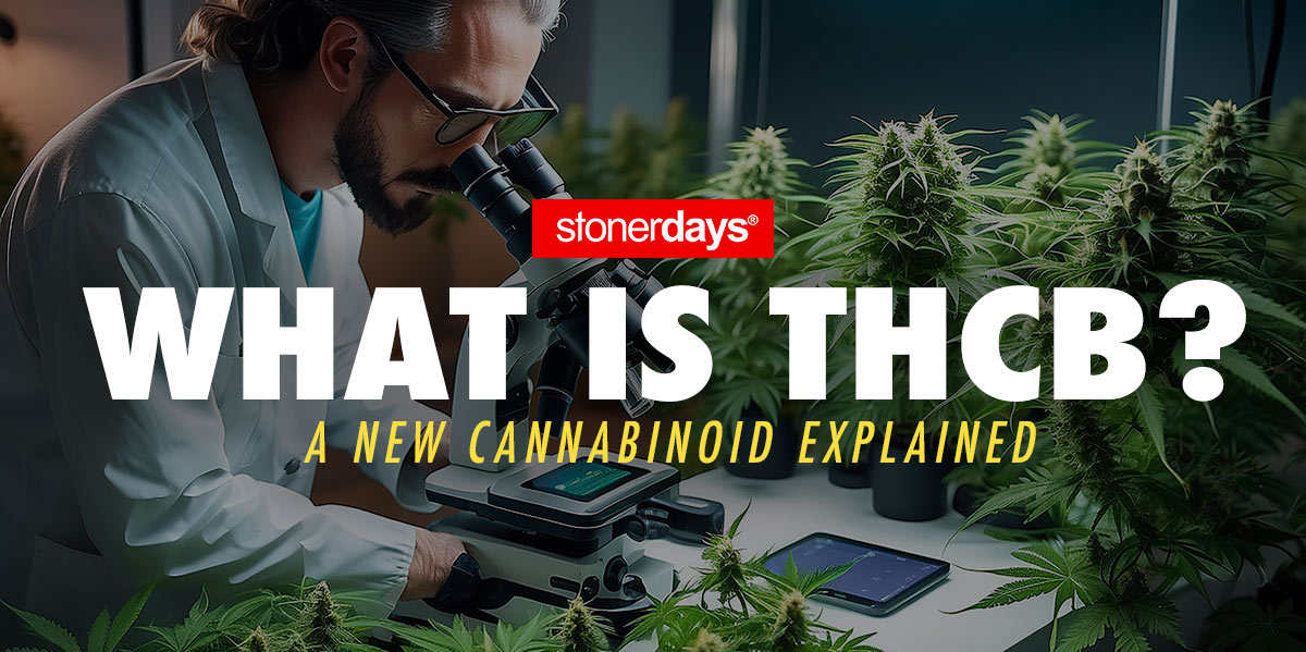 What Is THCB? A New Cannabinoid Explained • Blogs