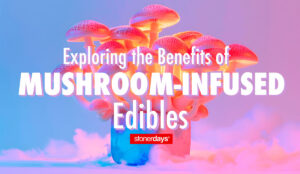 Exploring the Benefits of Mushroom-Infused Edibles