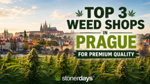 Top 3 Weed Shops in Prague for Premium Quality
