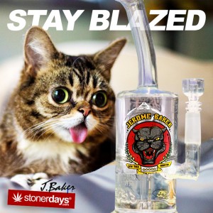 JBD-CAT-stonerdays